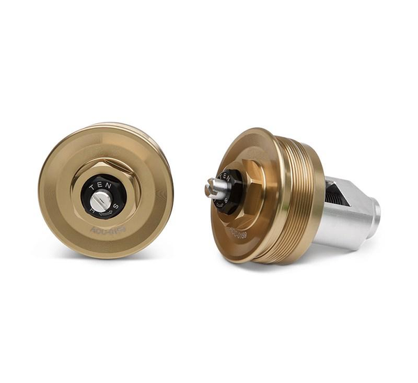 Fork Cap Set (Z900RS/SE)