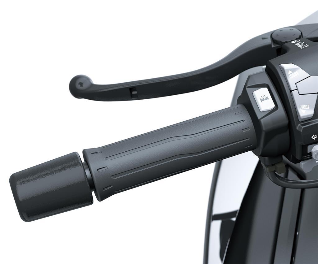 Heated Grip Set (Z H2/SE)