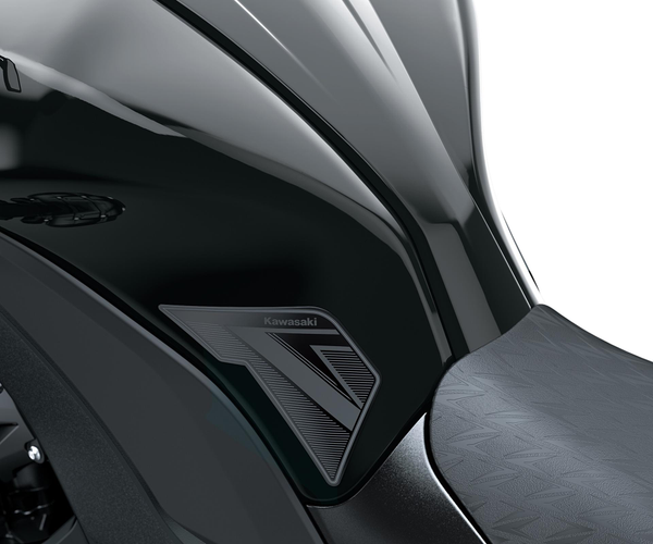 Knee Pads (Z1100/SE)