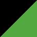Sort /Lime grøn (BK1)